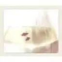ManGoLiN 的袋装双鱼频道头像